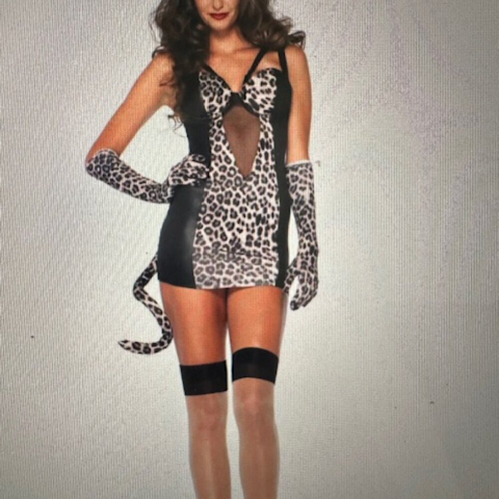 Pin Up Kitty Costume for Adults size Small (4-6) New by Leg Avenue